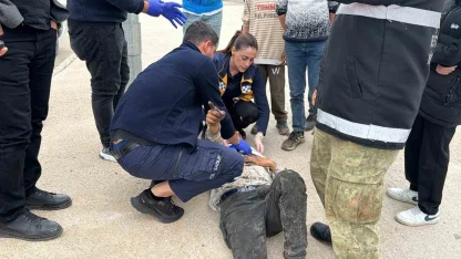 Motosiklet ile otomobil çarpıştı: 1 yaralı