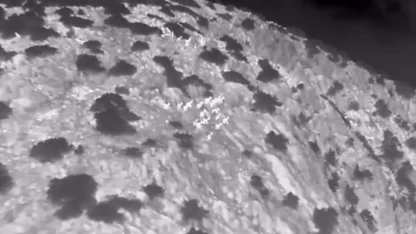 Muğla’da yaban keçileri termal kameralı drone ile görüntülendi