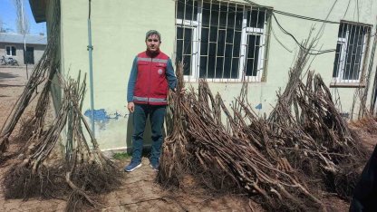 Muradiye’de yüzde 90 hibeli 50 bin adet meyve fidanı dağıtımı yapıldı