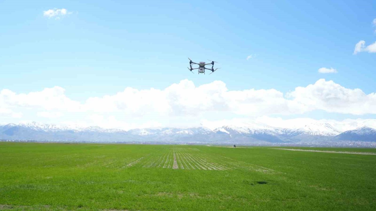 Muş’ta 42 bin dönümlük tarım arazisi dron ile gübrelendi