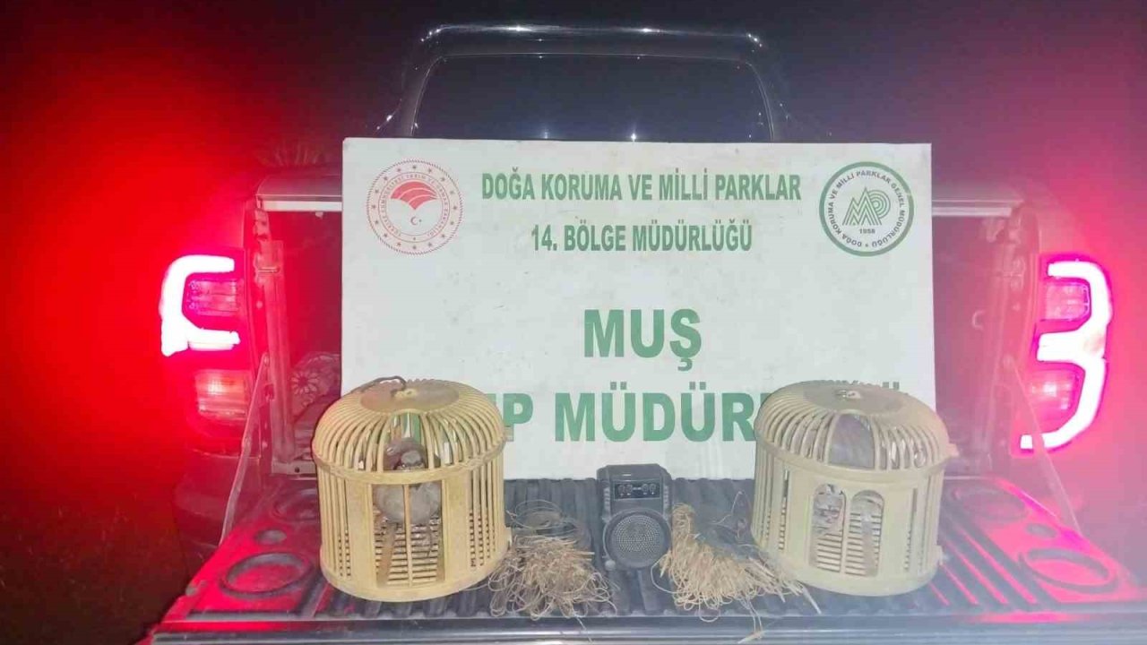 Muş’ta kaçak keklik avına suçüstü: 65 bin TL ceza kesildi