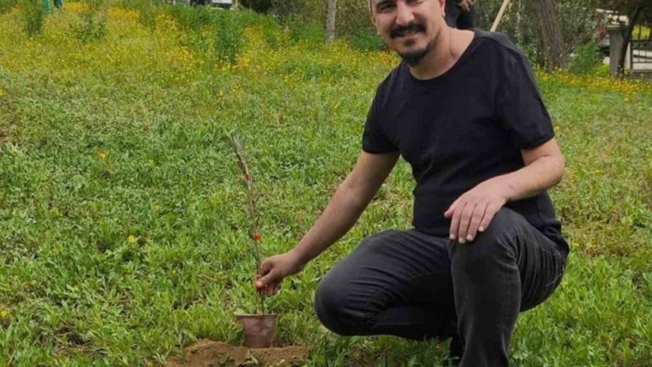 Mut Devlet Hastanesi bahçesine 150 fidan dikildi