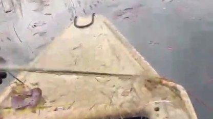 ‘Nilüfer Cenneti’nde kaçak avcılığa ‘dur’ denildi