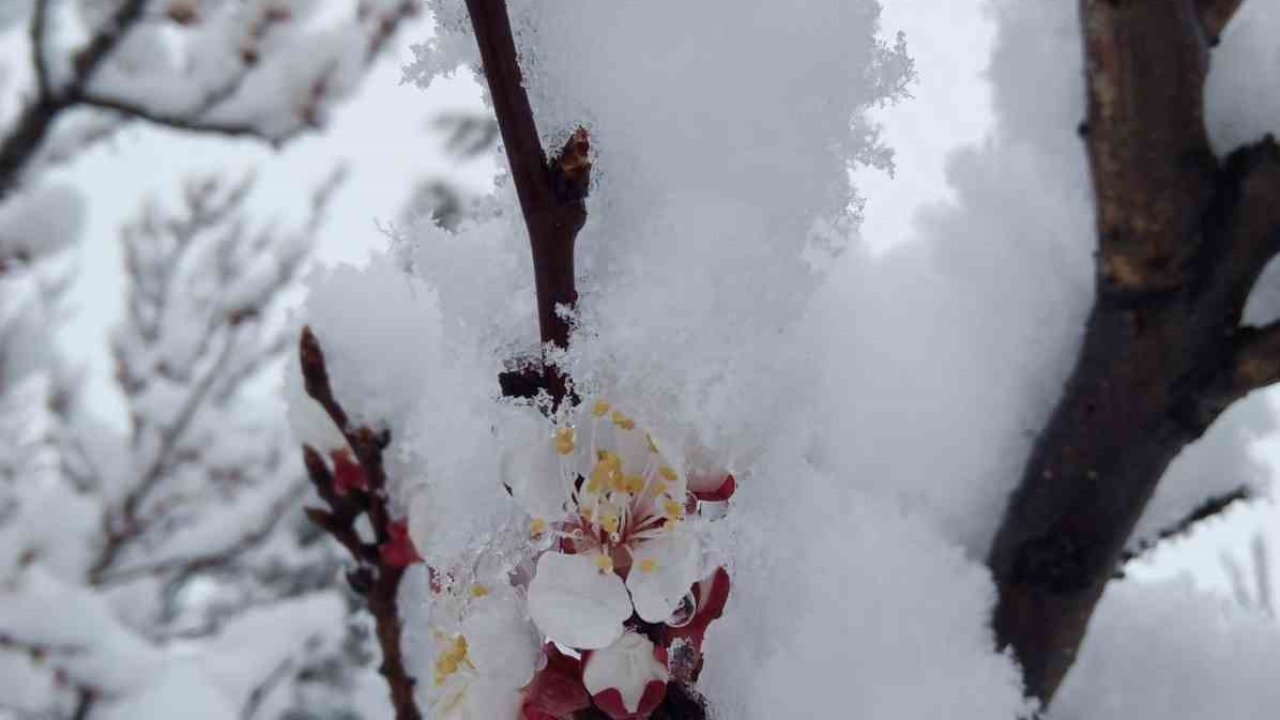 Nisan karı mahalleyi beyaza bürüdü