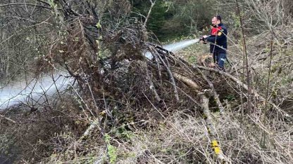 Ormanlık alanda çıkan yangın büyümeden söndürüldü