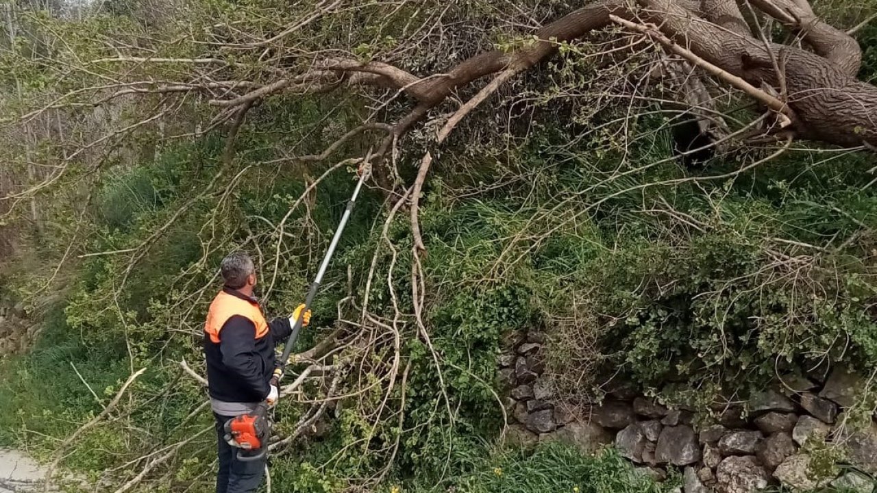 Osmaniye’de fırtına etkili oldu, devrilen ağaçlar yolları kapattı