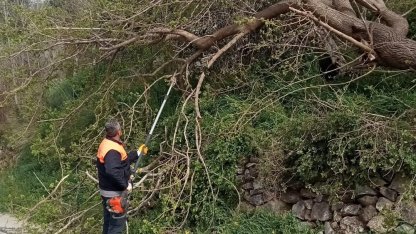 Osmaniye’de fırtına etkili oldu, devrilen ağaçlar yolları kapattı