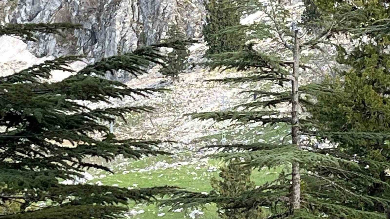 Osmaniye’de kayalıklardan düşen adam hayatını kaybetti