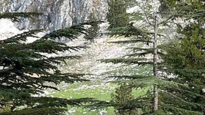 Osmaniye’de kayalıklardan düşen adam hayatını kaybetti