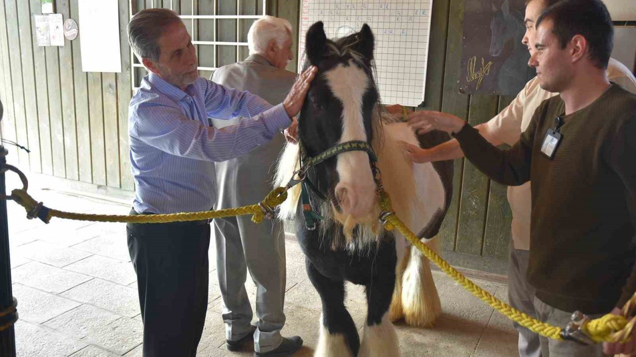 Pendik’te atlarla şifa: Yaşlılar için atla terapi dönemi başladı