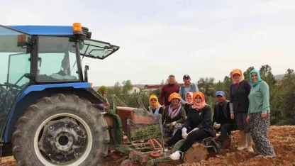 Poşusunu takan Kaymakam Kuran üreticilerle birlikte kekik dikti
