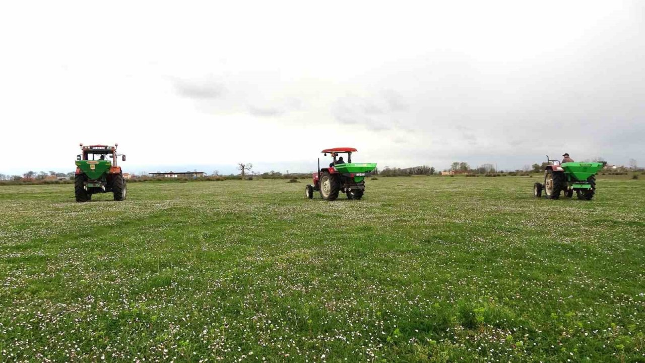 Samsun’da meralarda ıslah çalışmaları sürüyor