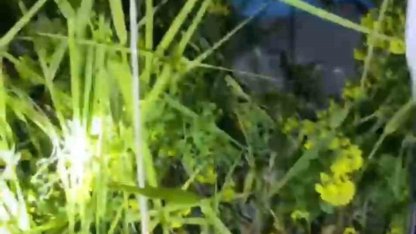 Şanlıurfa’da kayalıklarda mahsur kalan 2 küçük kardeş kurtarıldı