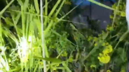 Şanlıurfa’da kayalıklarda mahsur kalan 2 küçük kardeş kurtarıldı