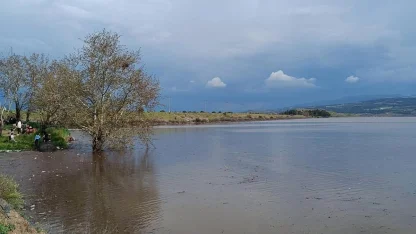 Sarıgöl Ovası’nda su sevinci