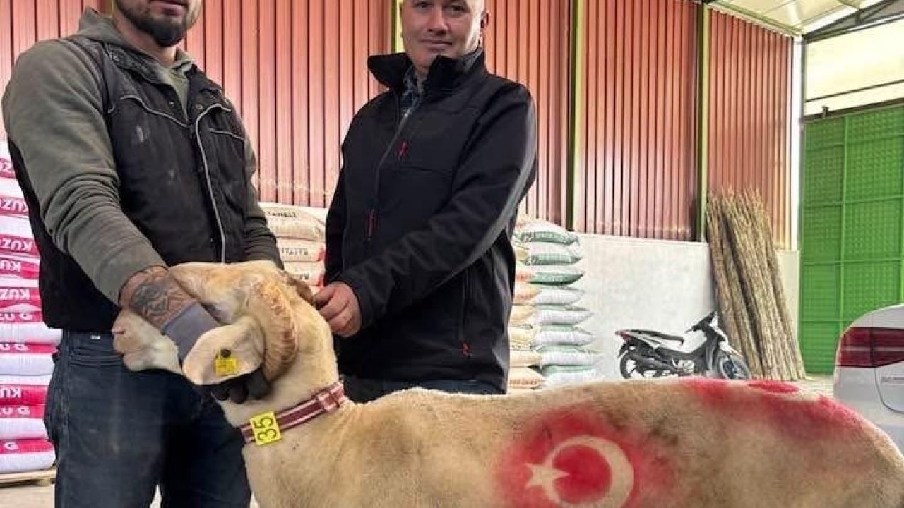 Sarıgöl’de kurbanlık pazarı hareketlendi