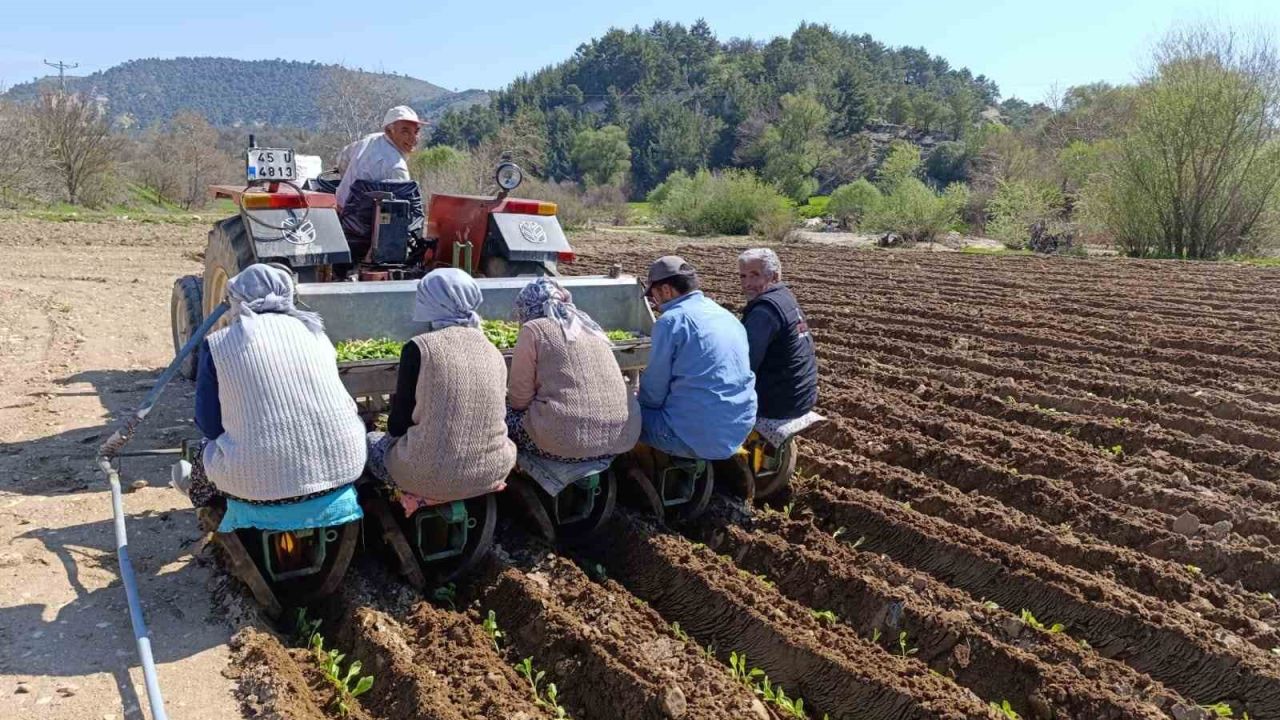 Selendi’de tarım işçisi yevmiyesi 1400 TL oldu
