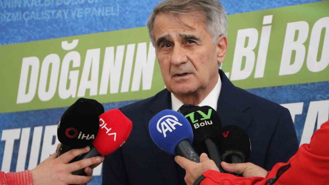 Şenol Güneş: "Milli takımın çeyrek finale kadar rahat gelebilecek bir görüntüsü var"