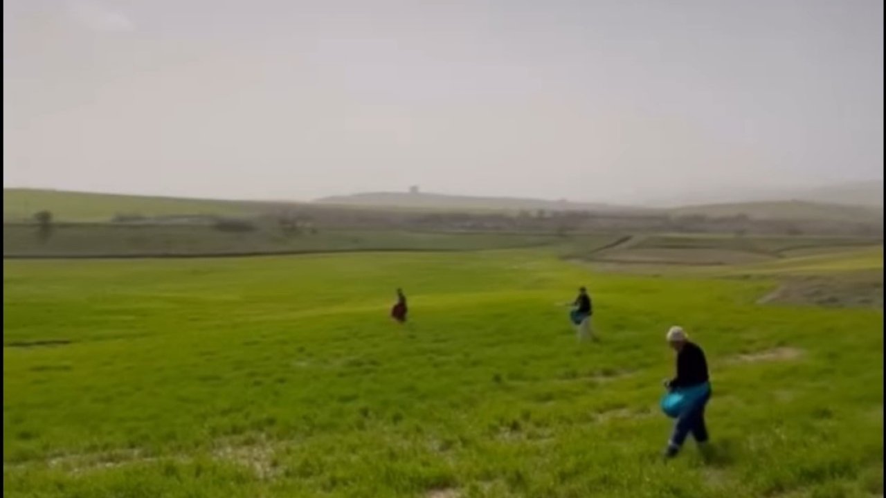 Siirt’te çiftçilerden zorlu mesai: Gübreleme eski usulle yapıldı