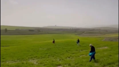 Siirt’te çiftçilerden zorlu mesai: Gübreleme eski usulle yapıldı