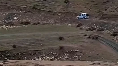 Siirt’te sağanak yağış hayvancılığı olumsuz etkiledi