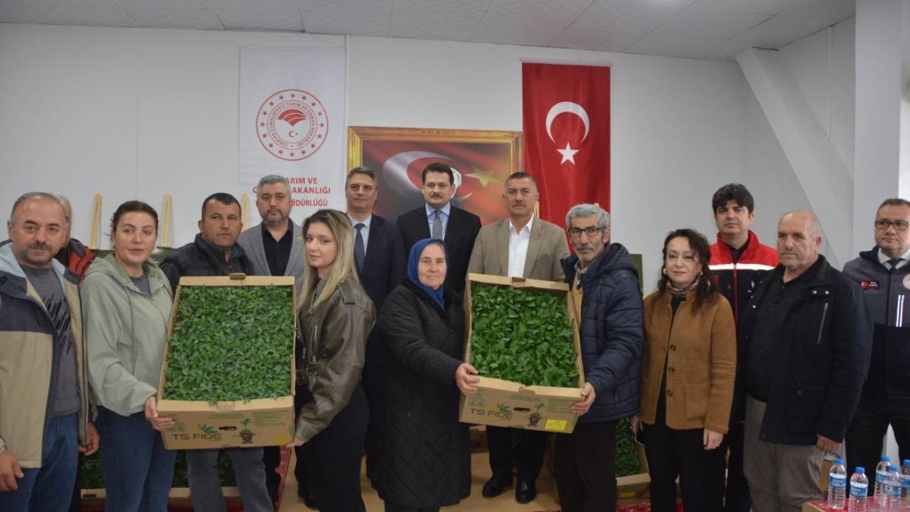 Sinop’ta 135 bin fide toprakla buluşuyor