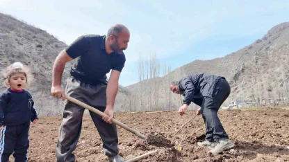 Şırnaklı çiftçi devlet desteğiyle bütün arazisine meyve fidanı dikti