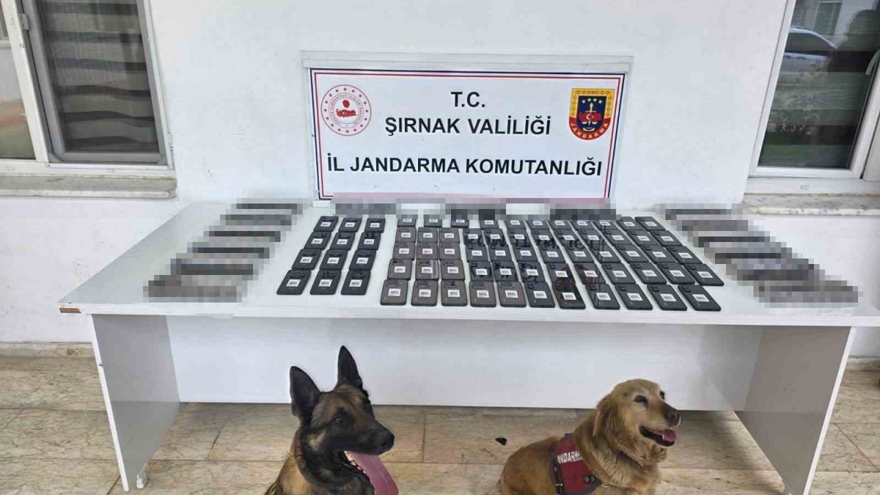 Şırnak’ta jandarmadan asayiş, kaçakçılık ve narkotik operasyonu