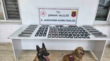 Şırnak’ta jandarmadan asayiş, kaçakçılık ve narkotik operasyonu