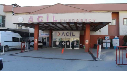 Şırnak’ta taşlı sopalı arazi kavgası: 29 yaralı