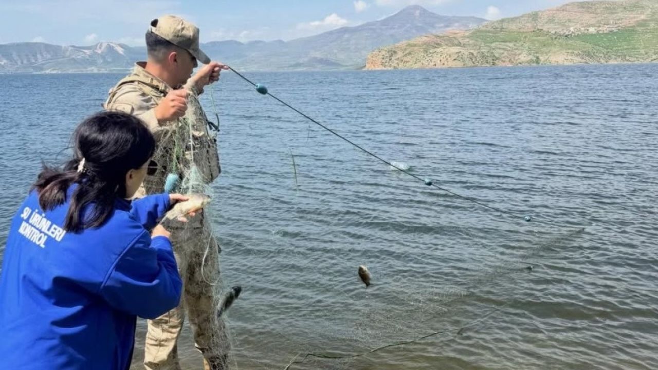 Şırnak’ta yasak dönemde yakalanan balıklar doğaya kazandırıldı
