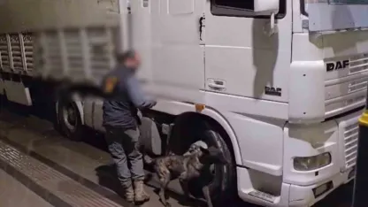 Sivas’ta 12 kilo uyuşturucu ele geçirildi: 2 tutuklama