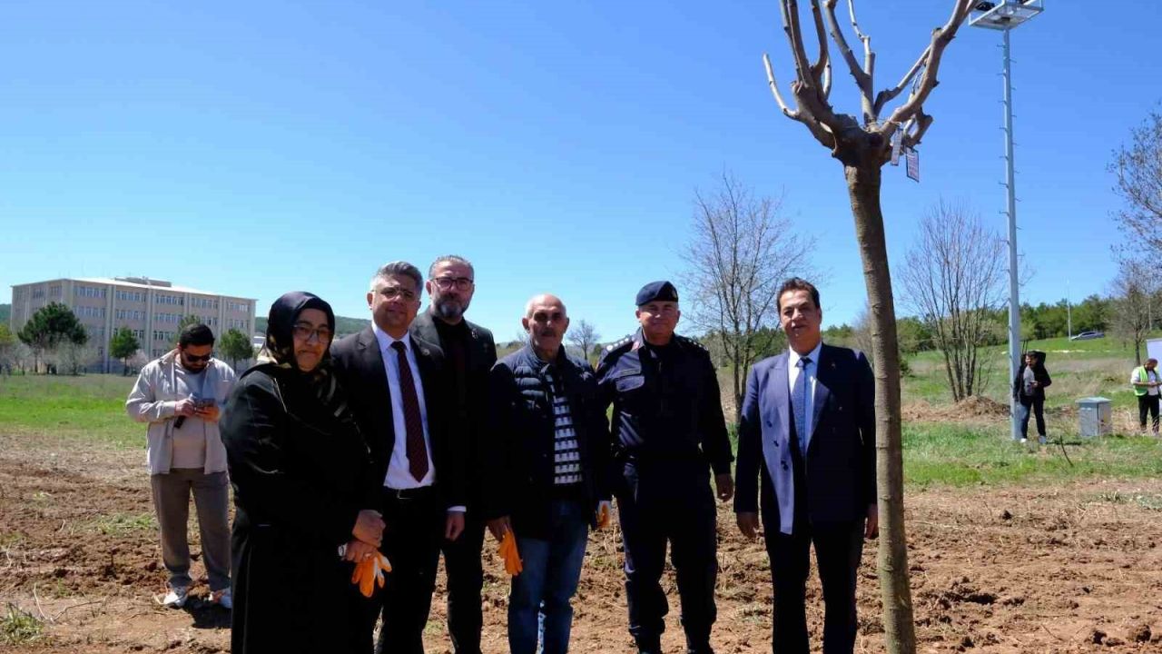 Sivas’ta şehitlerin adı fidanlarda yaşatılacak