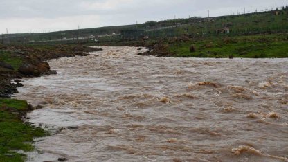 Siverek’te sağanak sonrası derede mahsur kalan çoban ve koyun sürüsü kurtarıldı