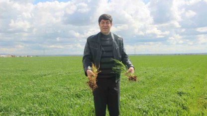 ’Tarım kenti’ Şanlıurfa yağışa doydu