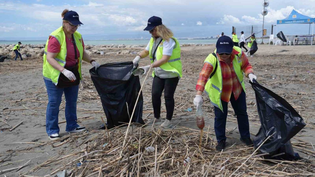 Tarsus’ta kaplumbağalar için seferberlik