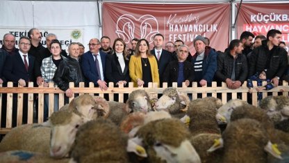 Tekirdağ’da küçükbaş hayvancılık festivali