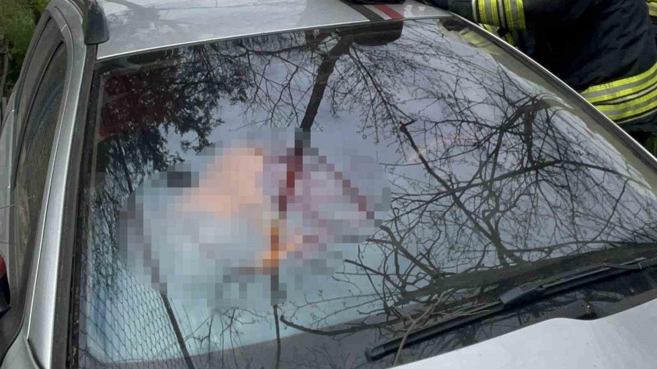 Tekirdağ’da şarampole uçan otomobilin sürücüsü hayatını kaybetti