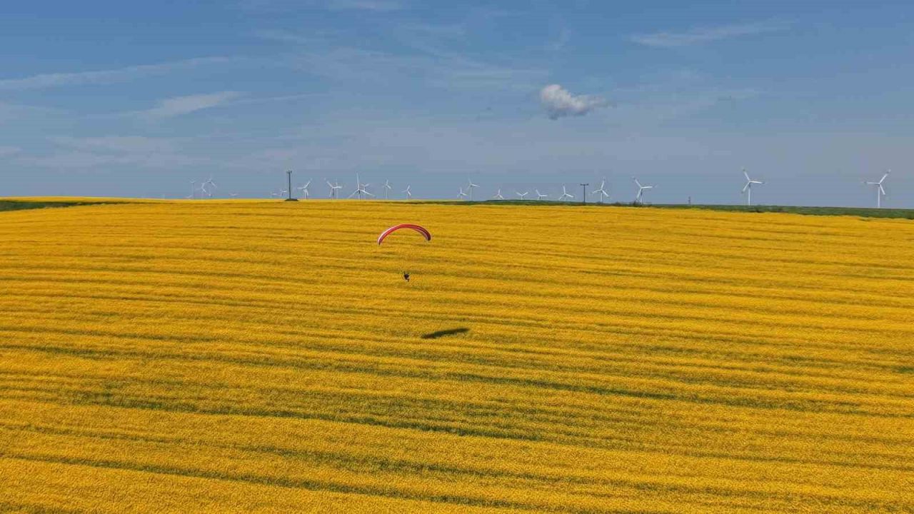 Tekirdağ’da sarı şölen: Paramotorlar sarı tarlaları gezdi