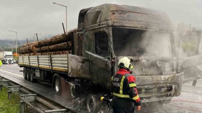 Tomruk yüklü tır alev topuna döndü