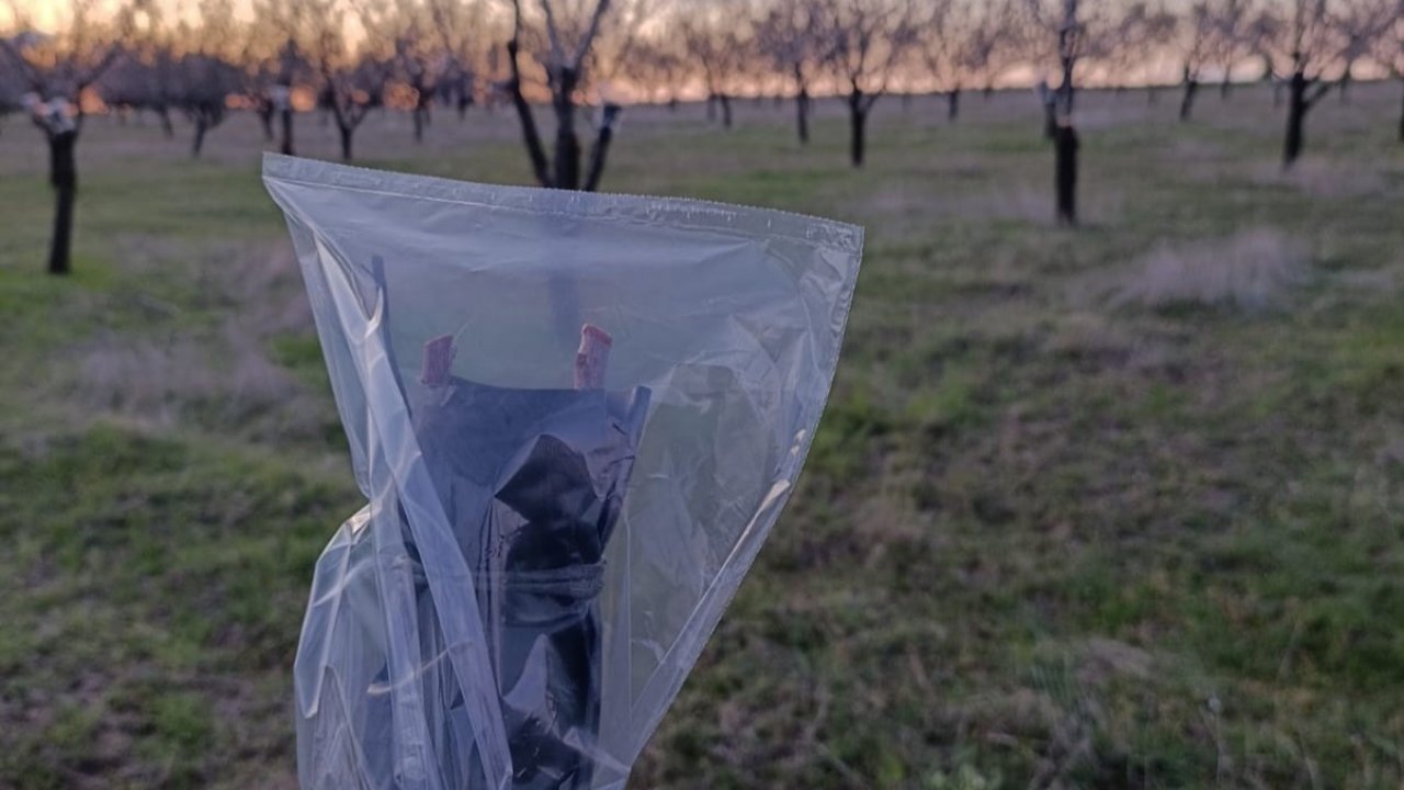 Uşak’ta badem üreticilerine don uyarısı