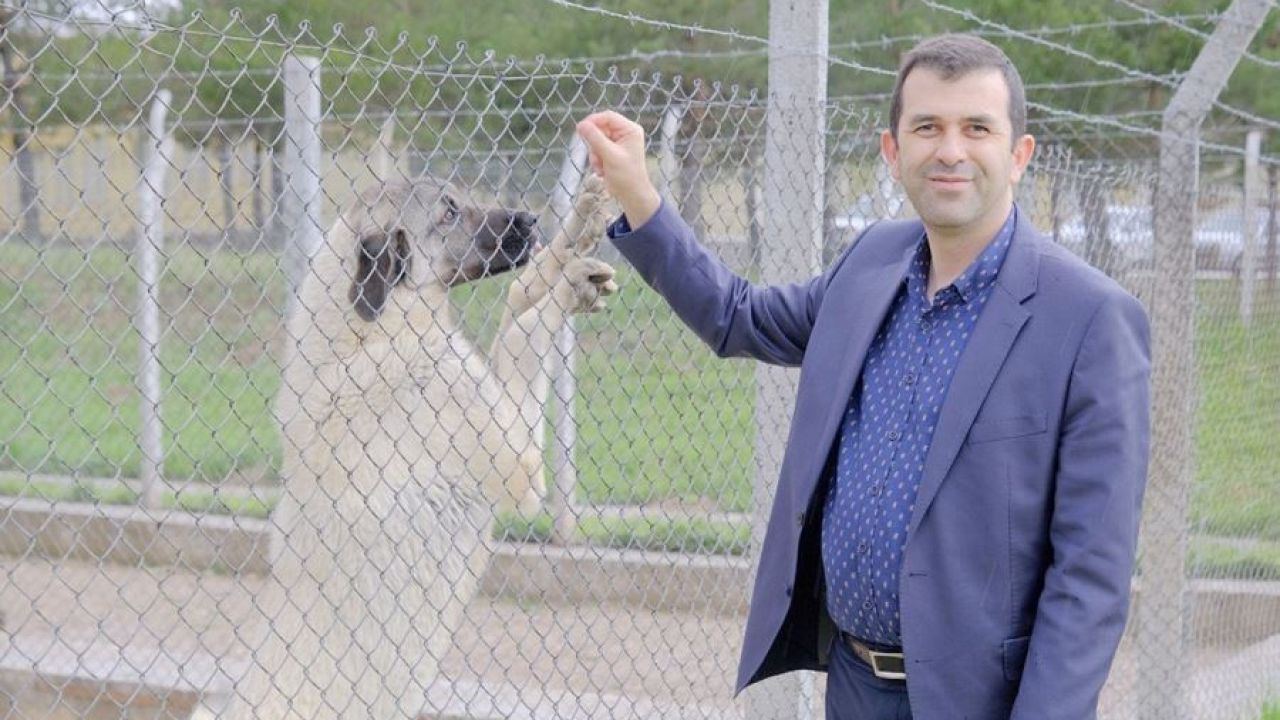 Uzmanı tanımladı, "Veteriner hekimler gıda zincirinin temel taşı konumundadır"