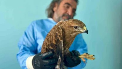 Van Gölü Havzası’ndaki yaban hayatı emin ellerde