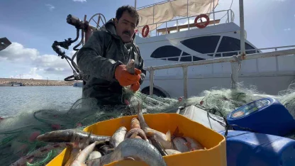Van Gölü’nde inci kefali için av yasağı: Kaçak avlanmanın cezası 16 bin TL