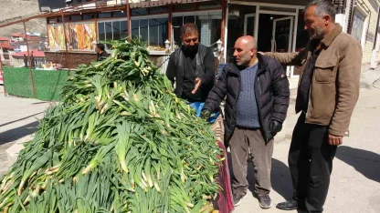 Van’da şifa kaynağı ‘çiriş otu’ tezgahlardaki yerini aldı