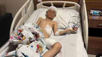 Van’daki köpek dehşetinde kan donduran detaylar