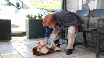 Yalova’da Cevriye teyze can dostu ile duygulandıran buluşma