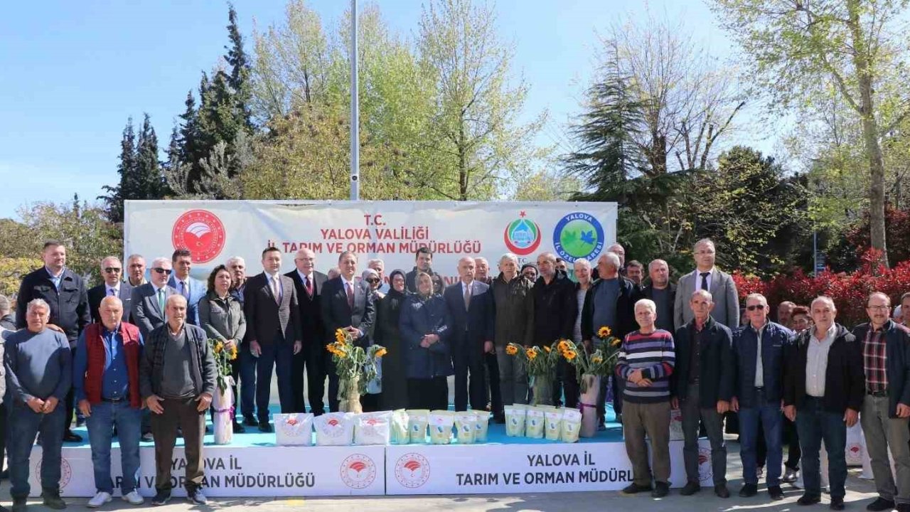 Yalova’da çiftçiye ayçiçeği ve fasulye tohumu desteği