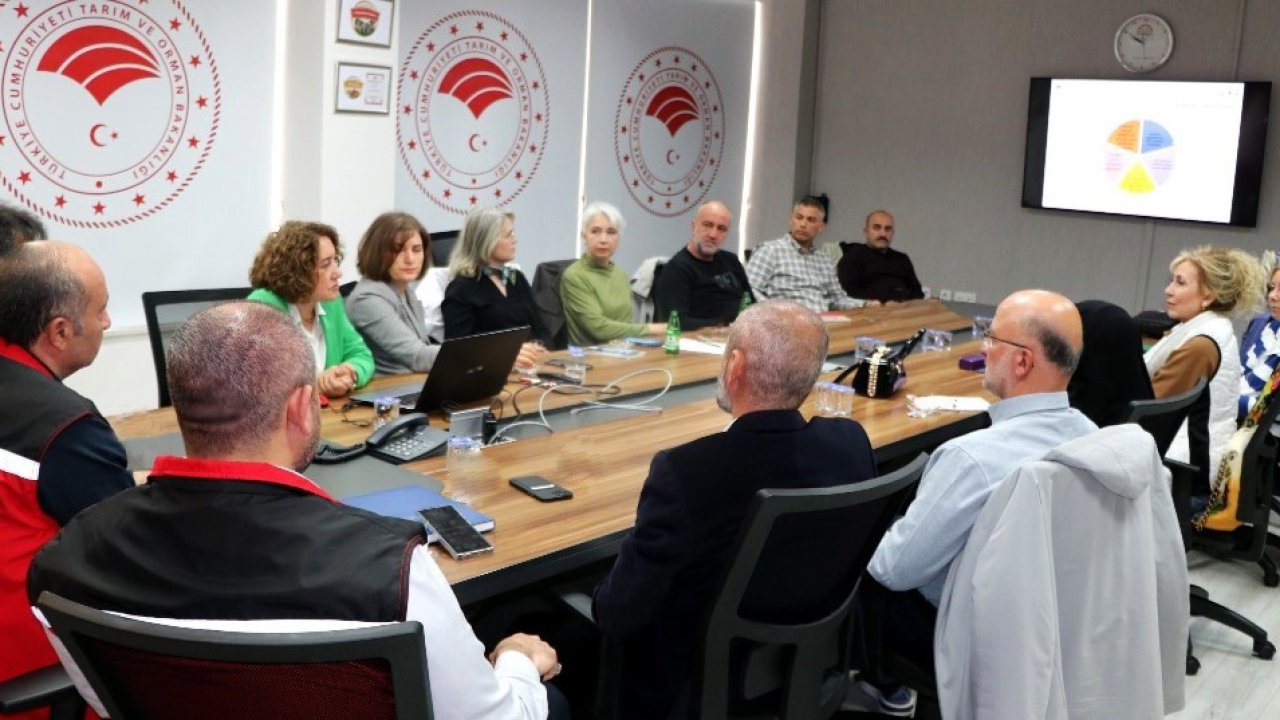 Yalova’da yaban mersini üreticilerine eğitim