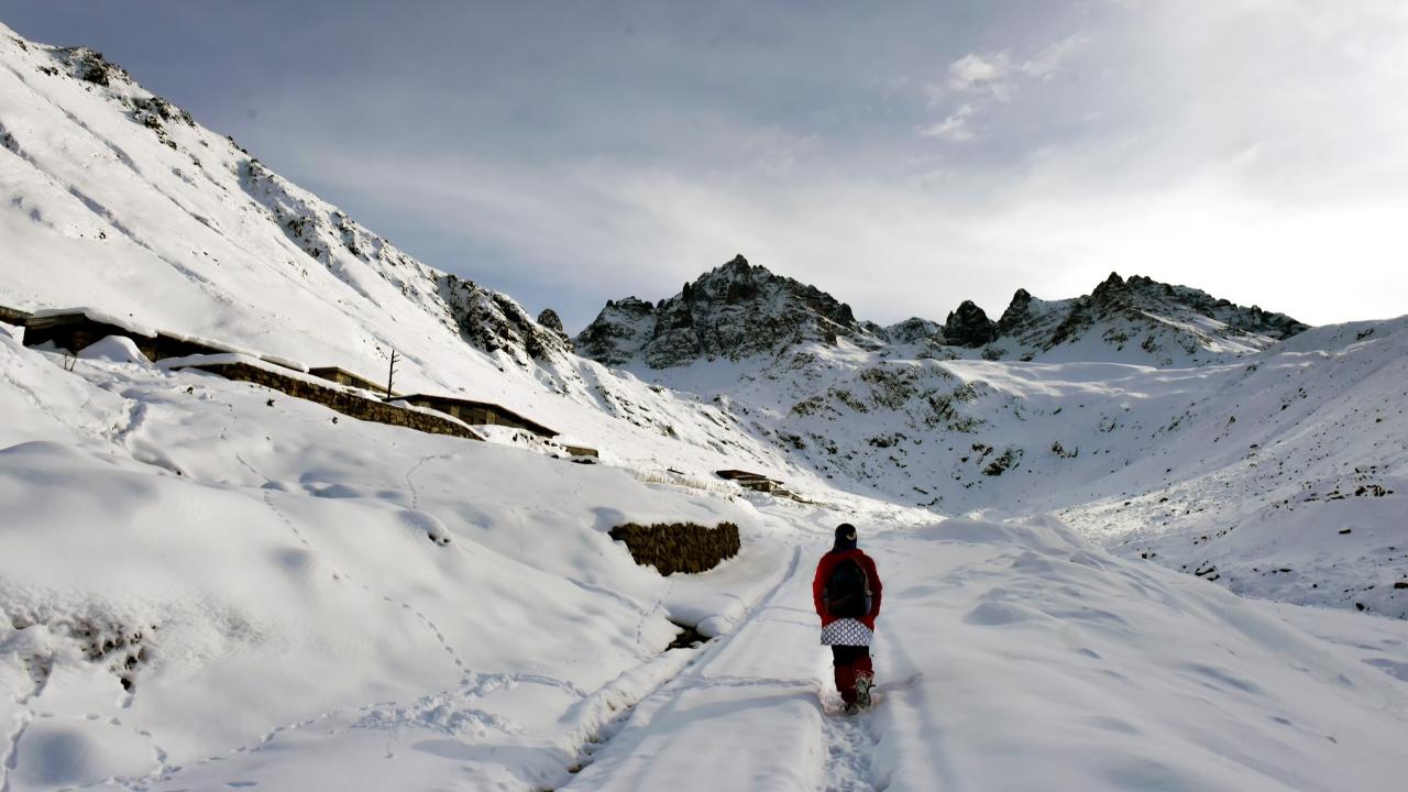 YARADILIŞIN MUCİZESİ İNSANDIR